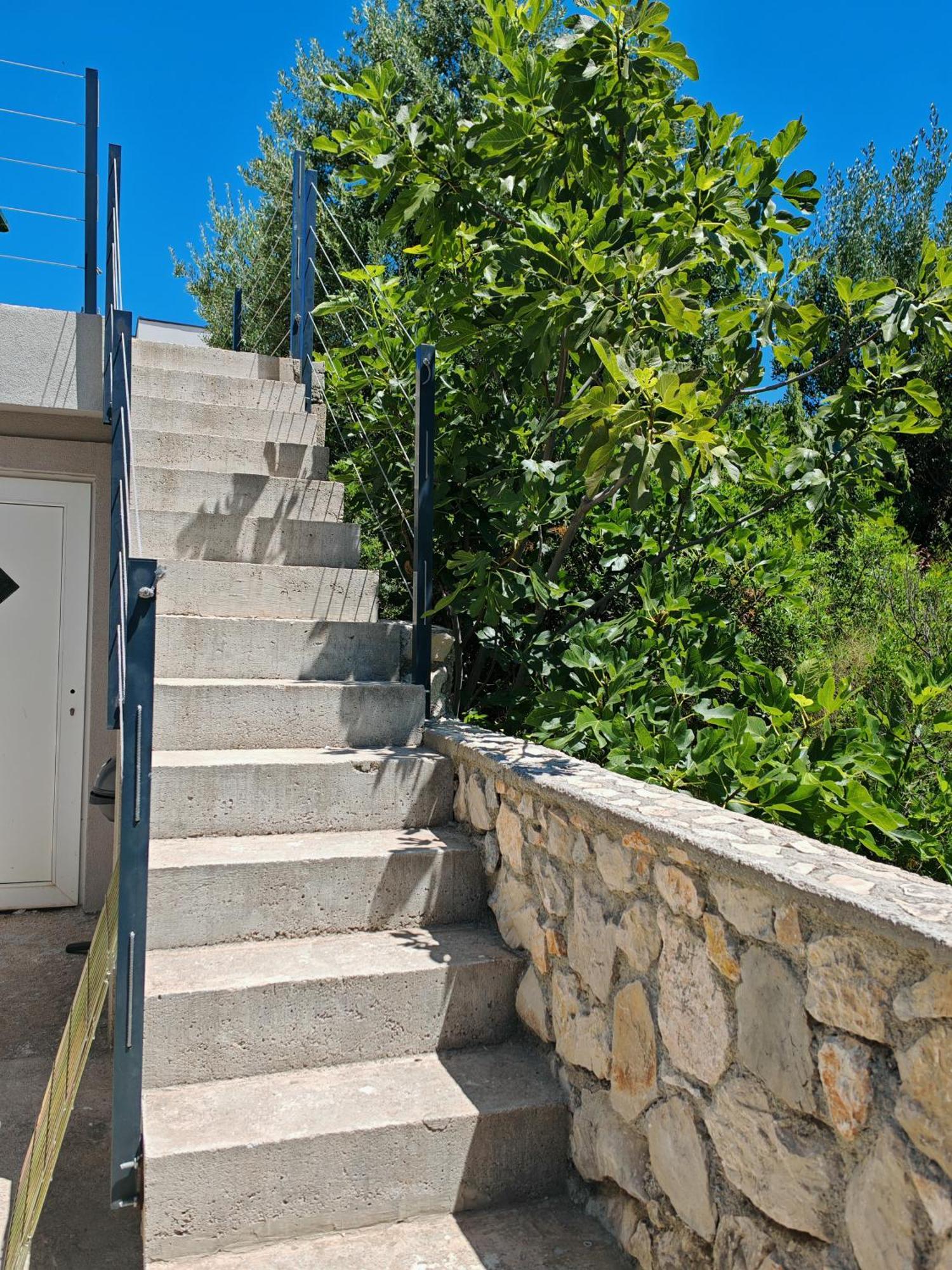 Olive Tree Apartment Zecevo Rogoznica  Zewnętrze zdjęcie